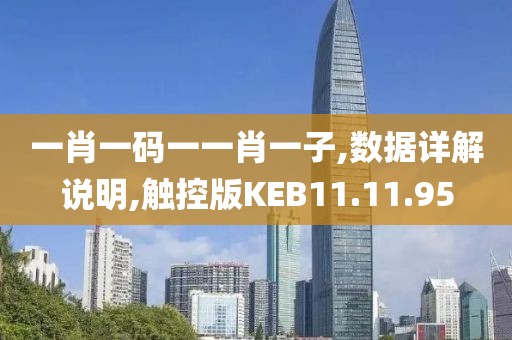 一肖一码一一肖一子,数据详解说明,触控版KEB11.11.95