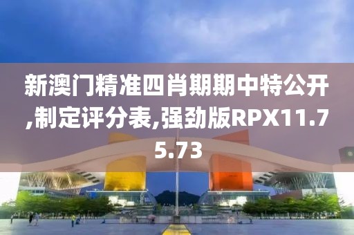 新澳门精准四肖期期中特公开,制定评分表,强劲版RPX11.75.73