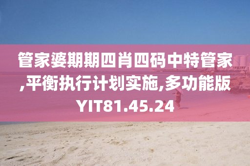 管家婆期期四肖四码中特管家,平衡执行计划实施,多功能版YIT81.45.24