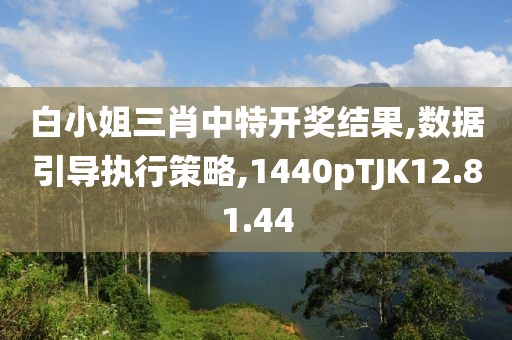 白小姐三肖中特开奖结果,数据引导执行策略,1440pTJK12.81.44