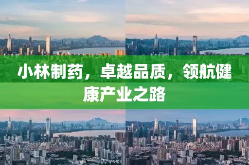 小林制药，卓越品质，领航健康产业之路