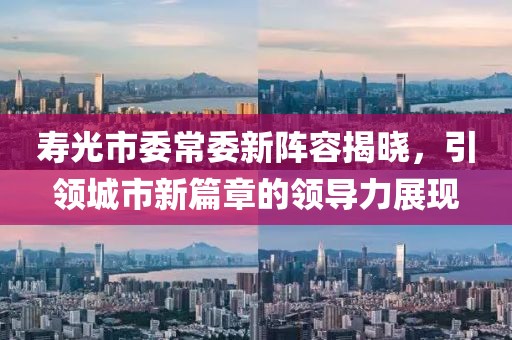 寿光市委常委新阵容揭晓，引领城市新篇章的领导力展现