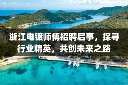 浙江电镀师傅招聘启事，探寻行业精英，共创未来之路