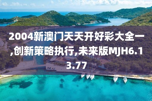 2004新澳门天天开好彩大全一,创新策略执行,未来版MJH6.13.77