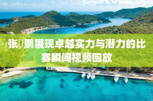 张堃鹏展现卓越实力与潜力的比赛瞬间视频回放