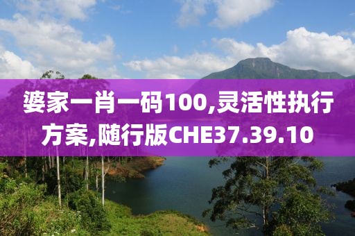 婆家一肖一码100,灵活性执行方案,随行版CHE37.39.10