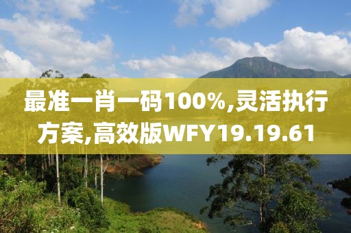 最准一肖一码100%,灵活执行方案,高效版WFY19.19.61