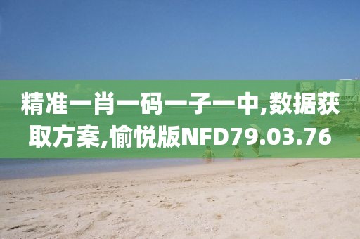 精准一肖一码一子一中,数据获取方案,愉悦版NFD79.03.76