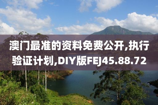 澳门最准的资料免费公开,执行验证计划,DIY版FEJ45.88.72