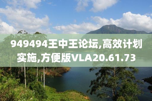 949494王中王论坛,高效计划实施,方便版VLA20.61.73