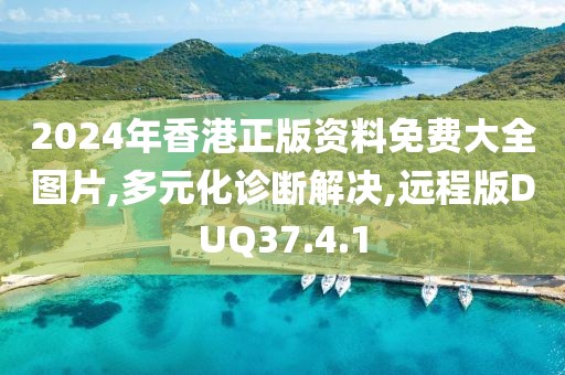 2024年香港正版资料免费大全图片,多元化诊断解决,远程版DUQ37.4.1