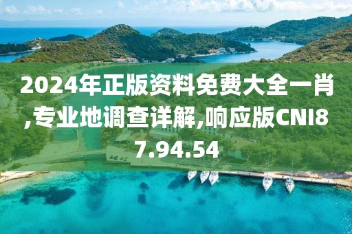 2024年正版资料免费大全一肖,专业地调查详解,响应版CNI87.94.54