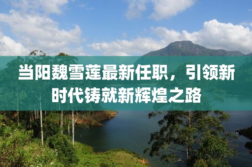 当阳魏雪莲最新任职，引领新时代铸就新辉煌之路