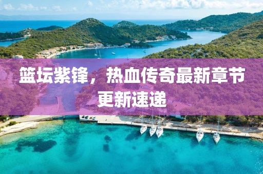 篮坛紫锋，热血传奇最新章节更新速递