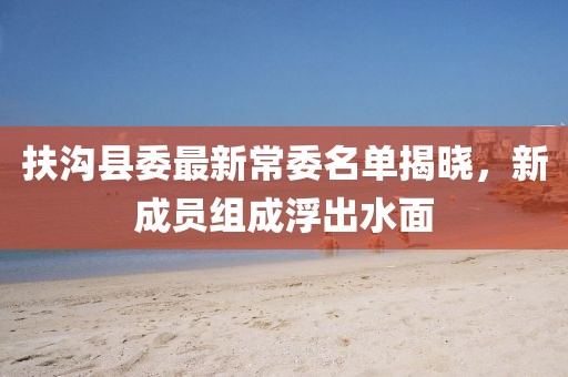 扶沟县委最新常委名单揭晓，新成员组成浮出水面