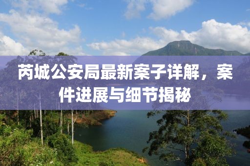 芮城公安局最新案子详解，案件进展与细节揭秘