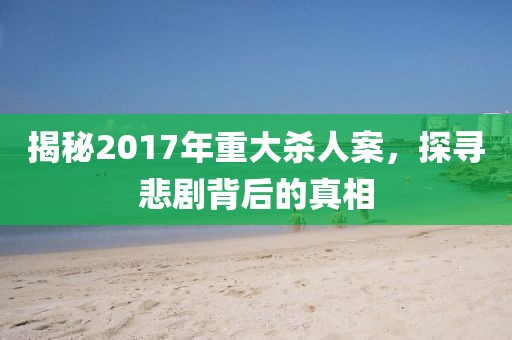 揭秘2017年重大杀人案，探寻悲剧背后的真相