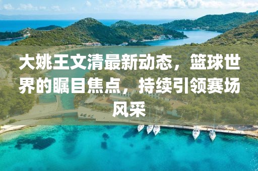 大姚王文清最新动态，篮球世界的瞩目焦点，持续引领赛场风采