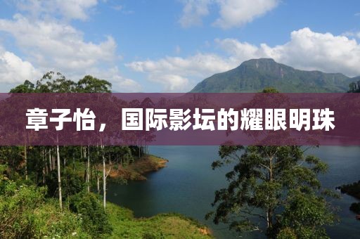 章子怡，国际影坛的耀眼明珠