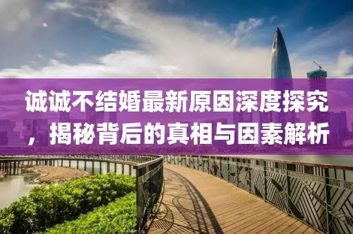 诚诚不结婚最新原因深度探究，揭秘背后的真相与因素解析