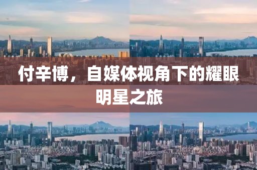 付辛博，自媒体视角下的耀眼明星之旅