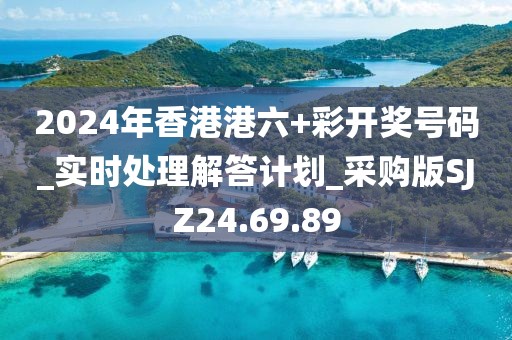 2024年香港港六+彩开奖号码_实时处理解答计划_采购版SJZ24.69.89
