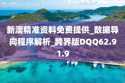 新澳精准资料免费提供_数据导向程序解析_跨界版DQQ62.91.9
