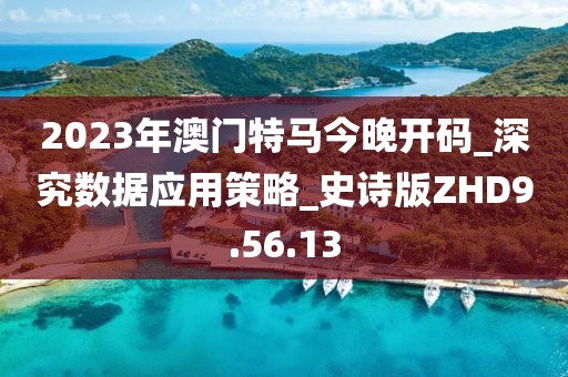 2023年澳门特马今晚开码_深究数据应用策略_史诗版ZHD9.56.13