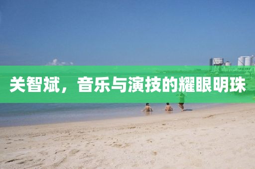 关智斌