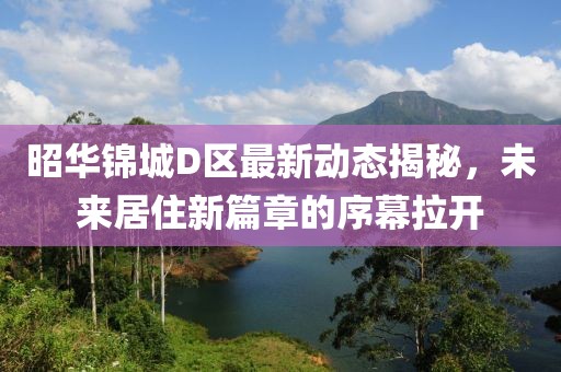 昭华锦城D区最新动态揭秘，未来居住新篇章的序幕拉开