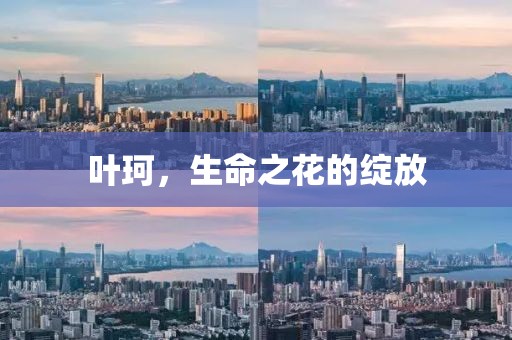 叶珂，生命之花的绽放