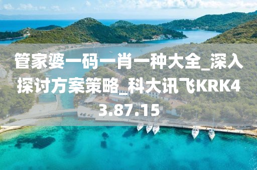 管家婆一码一肖一种大全_深入探讨方案策略_科大讯飞KRK43.87.15