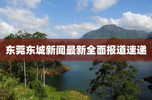 东莞东城新闻最新全面报道速递