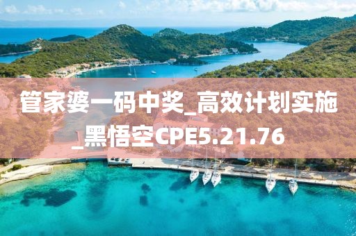 管家婆一码中奖_高效计划实施_黑悟空CPE5.21.76
