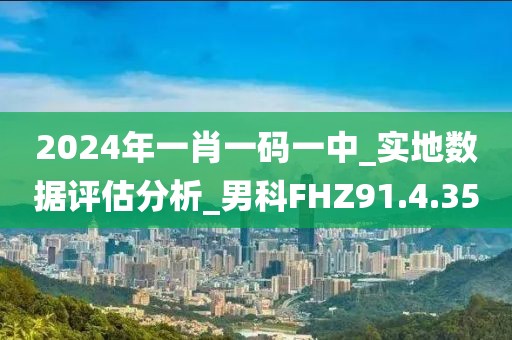 2024年一肖一码一中_实地数据评估分析_男科FHZ91.4.35