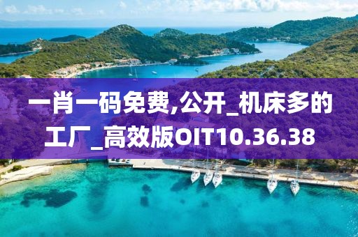 一肖一码免费,公开_机床多的工厂_高效版OIT10.36.38