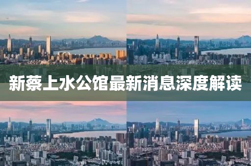 新蔡上水公馆最新消息深度解读