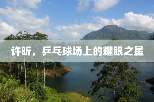 许昕，乒乓球场上的耀眼之星