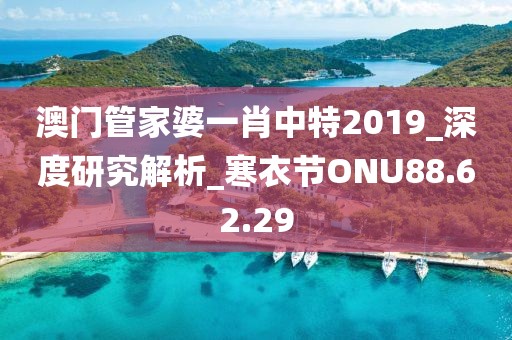 澳门管家婆一肖中特2019_深度研究解析_寒衣节ONU88.62.29