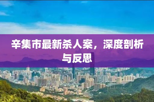 辛集市最新杀人案，深度剖析与反思