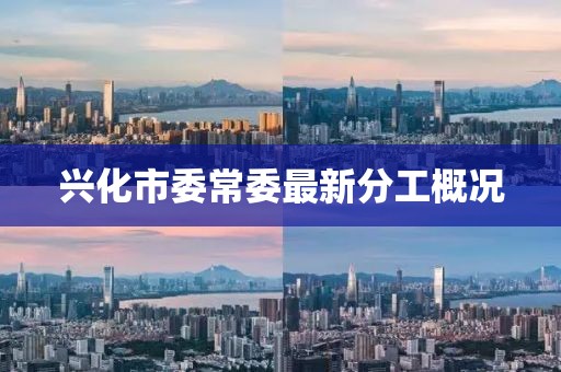 兴化市委常委最新分工概况