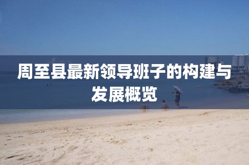 周至县最新领导班子的构建与发展概览