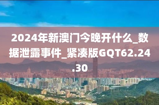 2024年新澳门今晚开什么_数据泄露事件_紧凑版GQT62.24.30