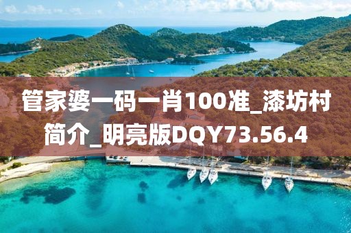 管家婆一码一肖100准_漆坊村简介_明亮版DQY73.56.4