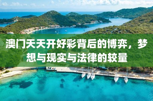 澳门天天开好彩背后的博弈，梦想与现实与法律的较量