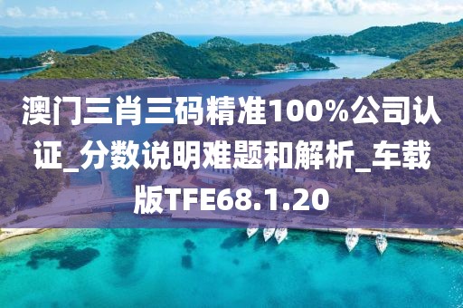 澳门三肖三码精准100%公司认证_分数说明难题和解析_车载版TFE68.1.20