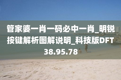 管家婆一肖一码必中一肖_明锐按键解析图解说明_科技版DFT38.95.78