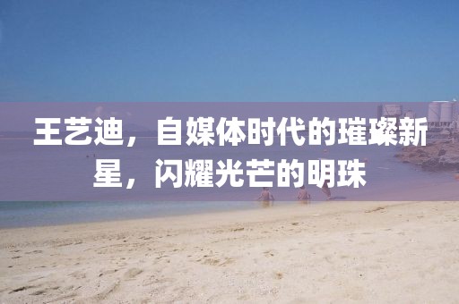 王艺迪，自媒体时代的璀璨新星，闪耀光芒的明珠