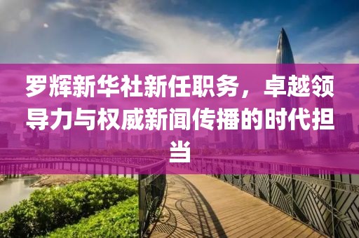 罗辉新华社新任职务，卓越领导力与权威新闻传播的时代担当