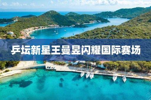 乒坛新星王曼昱闪耀国际赛场